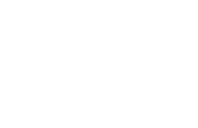 Logo Seraphim